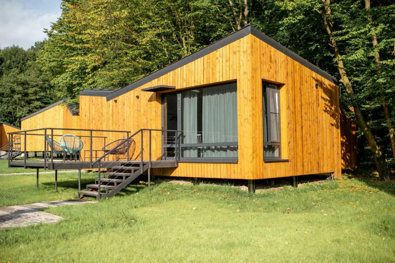 Hotel Buhta Vikingiv à Vodniki Extérieur photo
